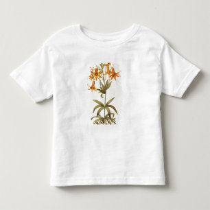 Lilium Penduliflorum, from `Les Liliacees', 1811 Toddler T-Shirt