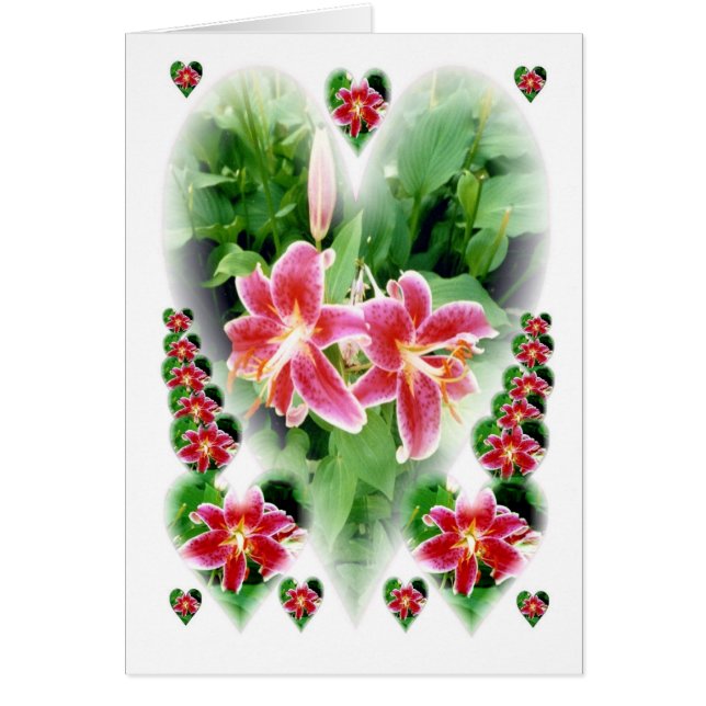 Lillies of the Heart (Front)