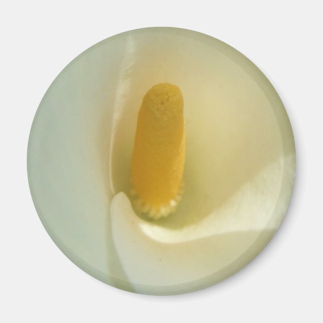 Lilly Centre Magnet (Front)