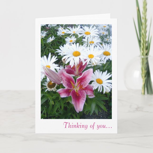 Lilly & Daisy Thinking of you Card (Front)