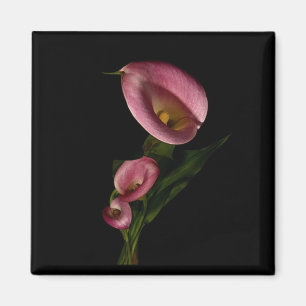 Lilly Magnet