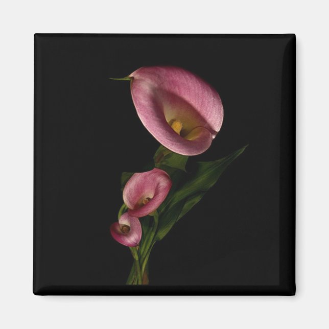 Lilly Magnet (Front)