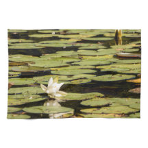 Lilly Pad