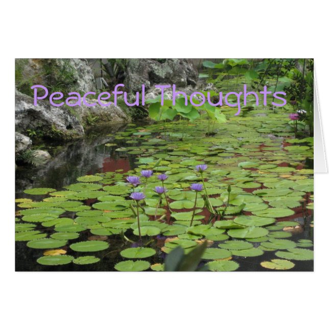 Lilly Pond (Front Horizontal)