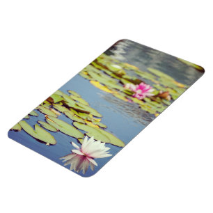 Lilly Pond Flowers Magnet