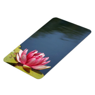 Lilly Pond Flowers Magnet