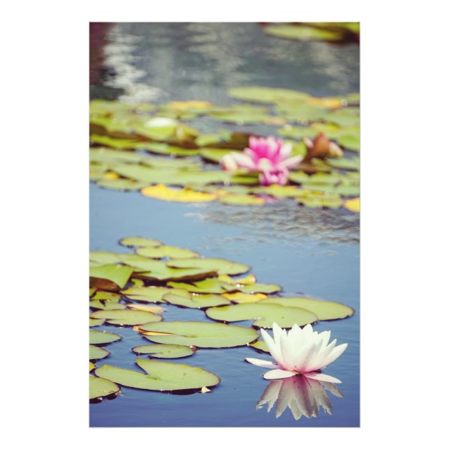 Lilly Pond Flowers Photo Print (Front)