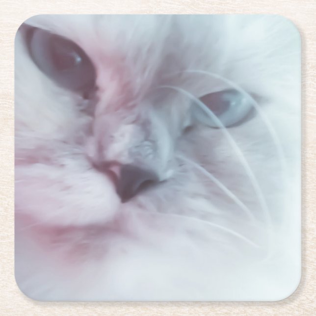 Lilly  square paper coaster (Front)