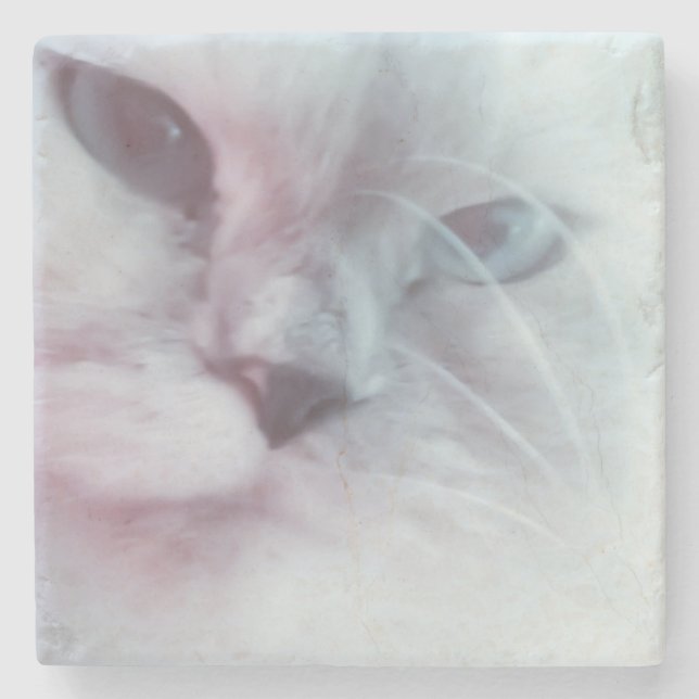 Lilly  stone coaster (Front)