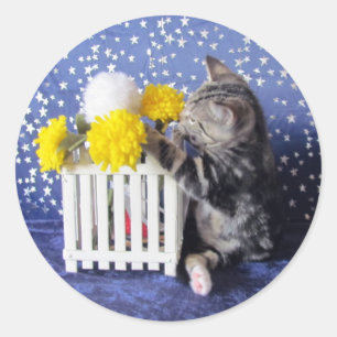 Lilo's Stop and Smell the Flowers - Cat / Kitten Classic Round Sticker
