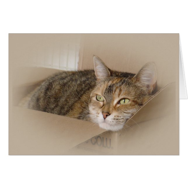 Lily #1 (Front Horizontal)