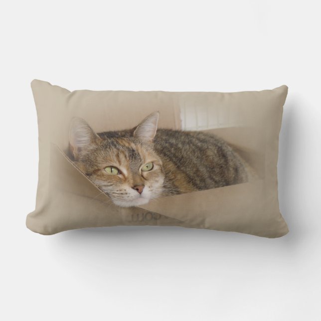 Lily #1 lumbar cushion (Front)