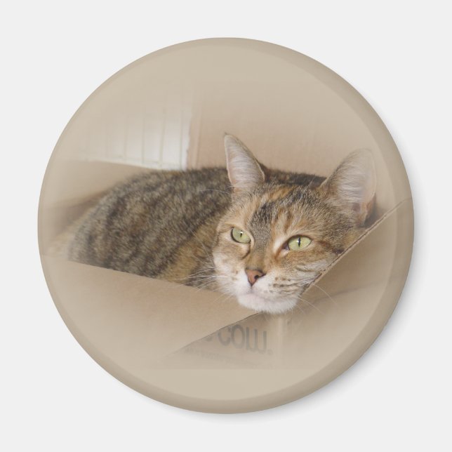 Lily #1 magnet (Front)