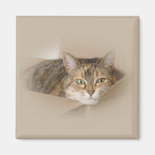 Lily #2 magnet