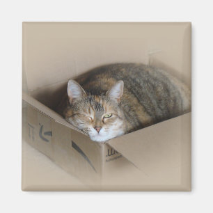 Lily #3 magnet
