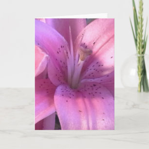 Lily All Purpose Greeting Card