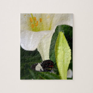 Lily and Butterfly Jigsaw Puzzle