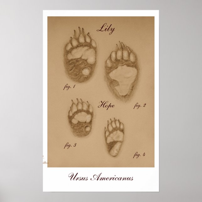 Lily and Hope Paw Print (Front)