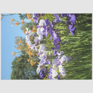 Lily and Iris Garden Poster Tissue Paper
