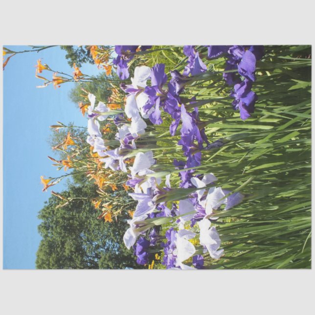 Lily and Iris Garden Poster Tissue Paper (Front)