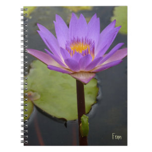 Lily and the frog notebook