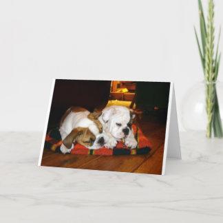 Lily and Ziggy Holiday Pose Card