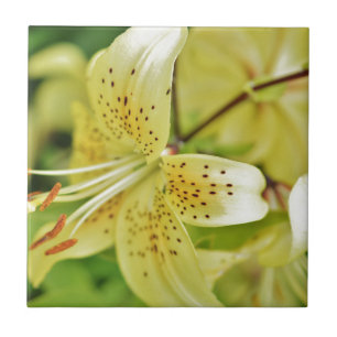 Lily Blooms Wedding Parties Tile