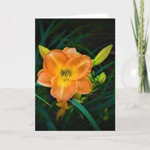 Lily, card