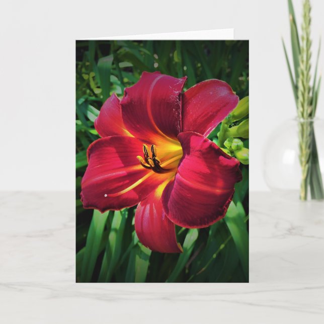 Lily, card (Front)