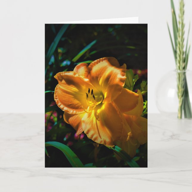 Lily, card (Front)