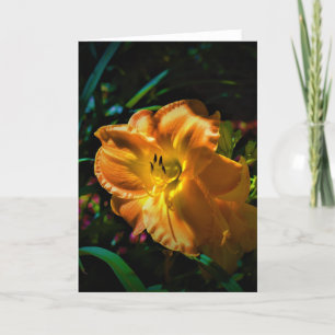 Lily, card