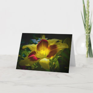 Lily, card