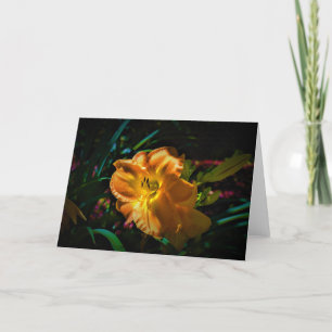 Lily, card