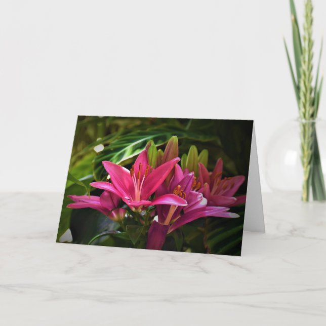 Lily, card (Front)