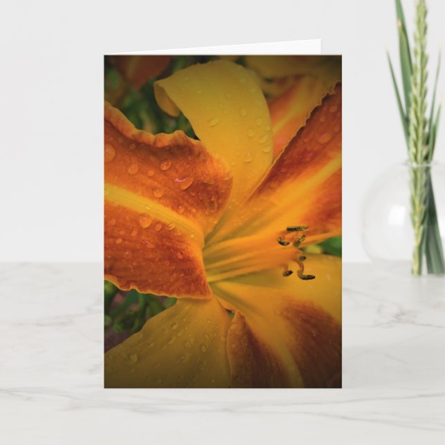Lily, card (Front)