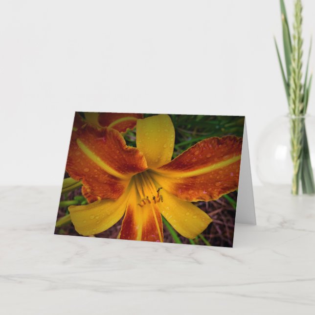 Lily, card (Front)