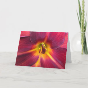 Lily, card