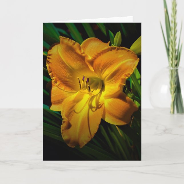 Lily, card (Front)