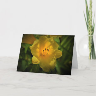 Lily, card