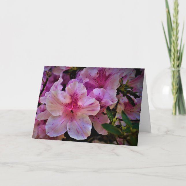 Lily, card (Front)