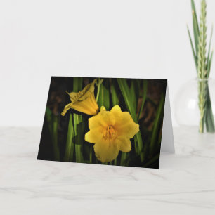 Lily, card