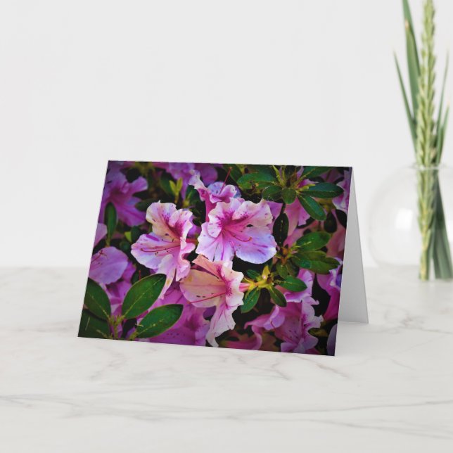Lily, card (Front)