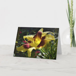 Lily, card