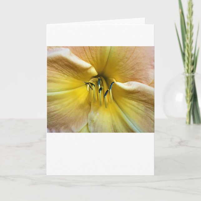 Lily, card (Front)