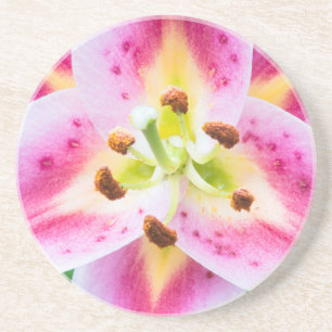 Lily Close-up Coaster