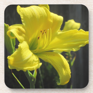 Lily Coaster