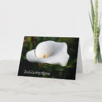 lily condolences greek