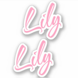 Lily Decorative Name in Pink x2 Sticker