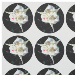 Lily Dot Fabric