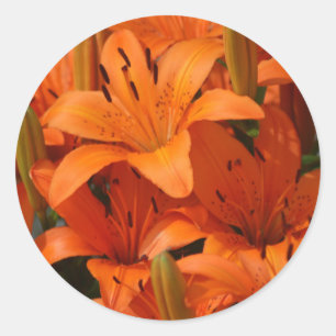 Lily Envelope Seal Stickers